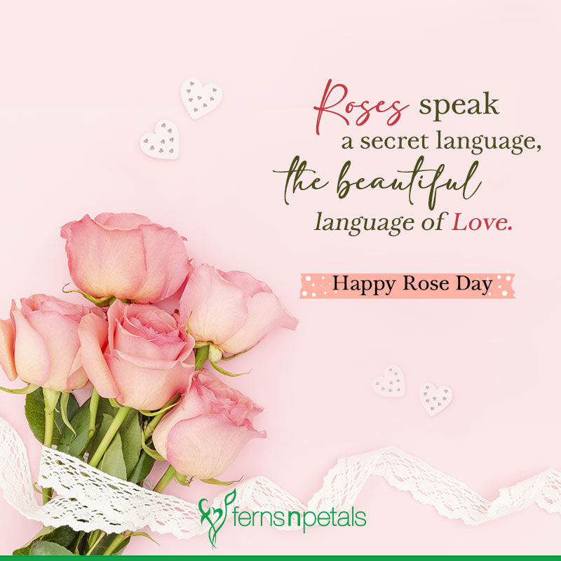 rose day quotes for love.jpg